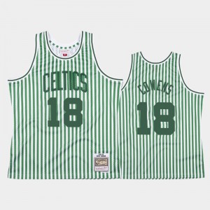 Men David Cowens #18 Boston Celtics Green Striped Jerseys 534328-614